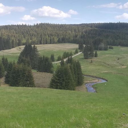 Ferienwohnung Zern Johanngeorgenstadt Dış mekan fotoğraf