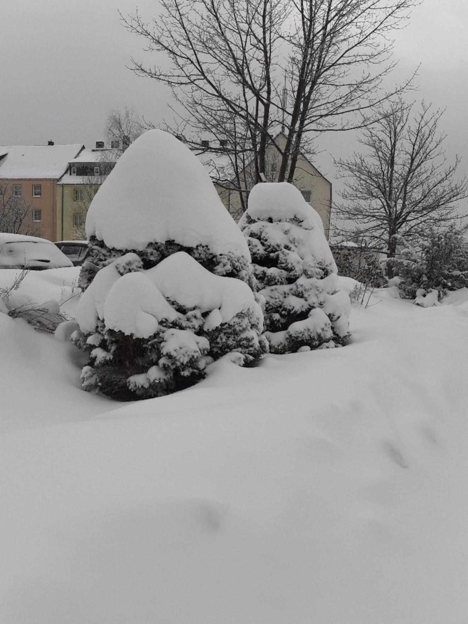 Ferienwohnung Zern Johanngeorgenstadt Dış mekan fotoğraf
